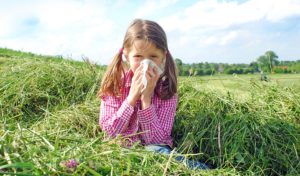 ursachen asthma bronchiale
