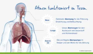 atmen ist teamarbeit 3