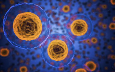 Oxidativer Stress: Was schützt vor COPD?