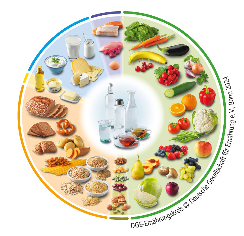 DGE-Ernährungskreis mit Getränken im Zentrum sowie Lebensmittelgruppen aus Obst, Gemüse, Hülsenfrüchten, Nüssen, Getreide, Kartoffeln, pflanzlichen Ölen, Milchprodukten, Fisch, Fleisch und Eiern.