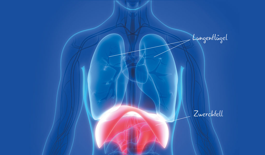 Therapie oder Training – was ist das Beste für meine Lunge?